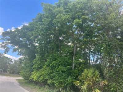 Residential Land For Sale in De Leon Springs, Florida