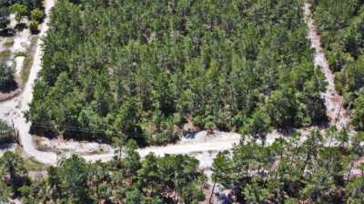 Residential Land For Sale in De Leon Springs, Florida