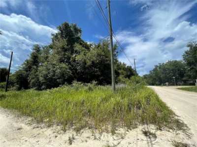 Residential Land For Sale in Salt Springs, Florida