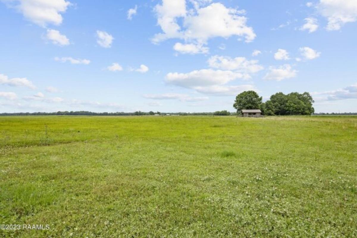 Picture of Residential Land For Sale in Duson, Louisiana, United States