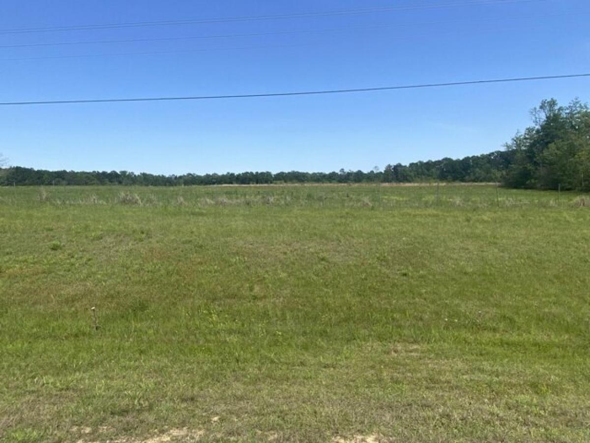 Picture of Residential Land For Sale in Deridder, Louisiana, United States