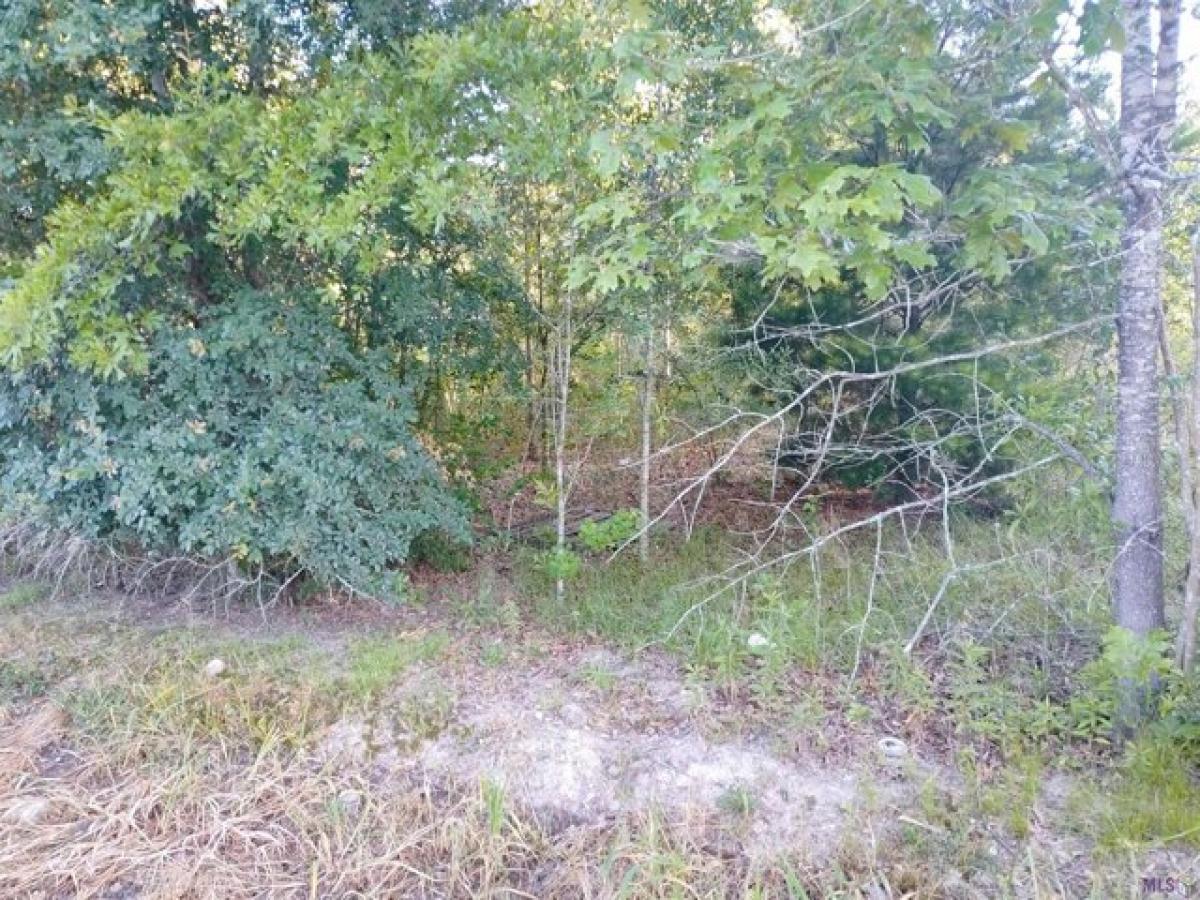 Picture of Residential Land For Sale in Livingston, Louisiana, United States