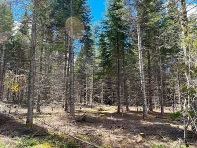 Residential Land For Sale in Madawaska, Maine