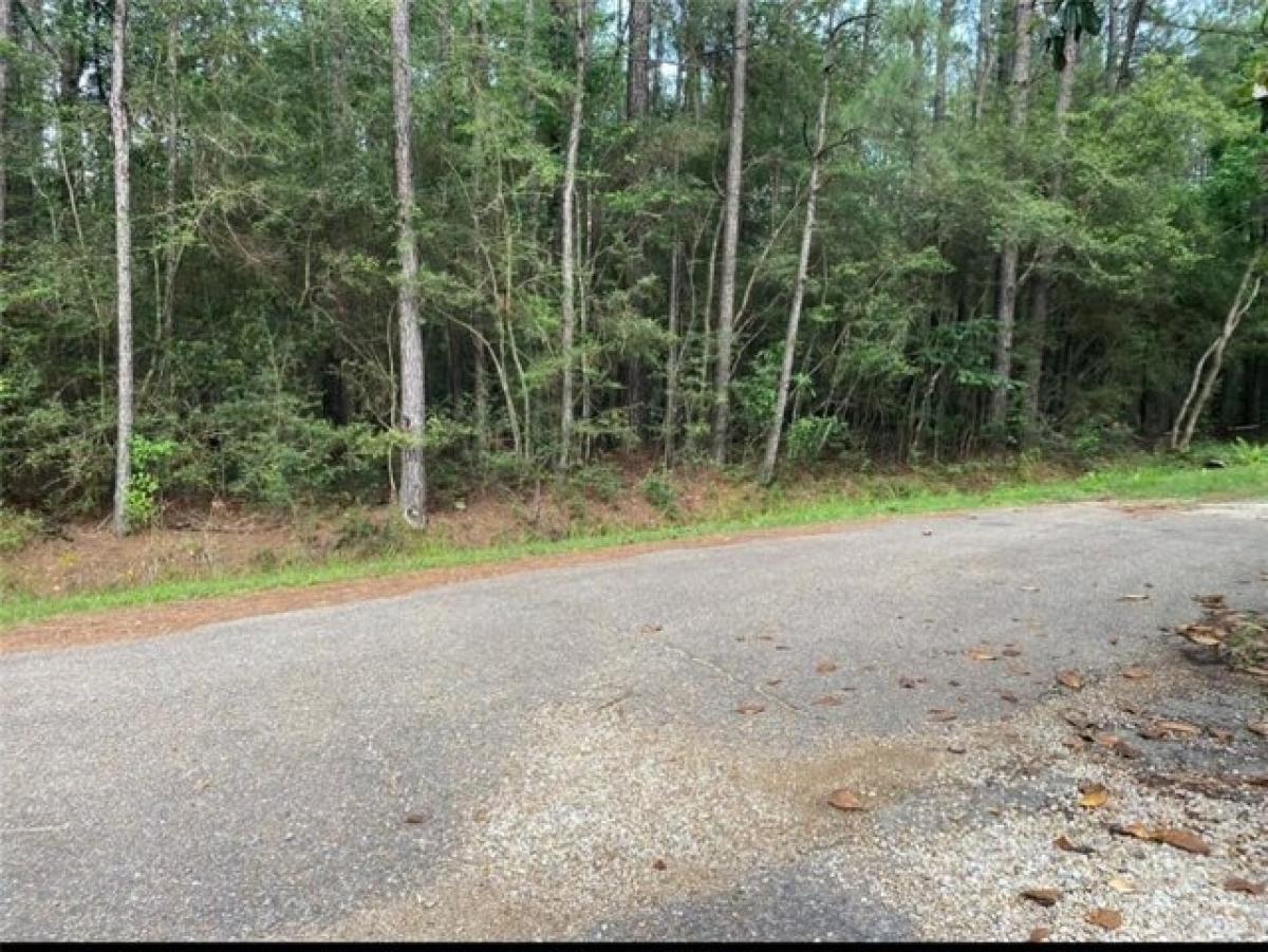 Picture of Residential Land For Sale in Covington, Louisiana, United States