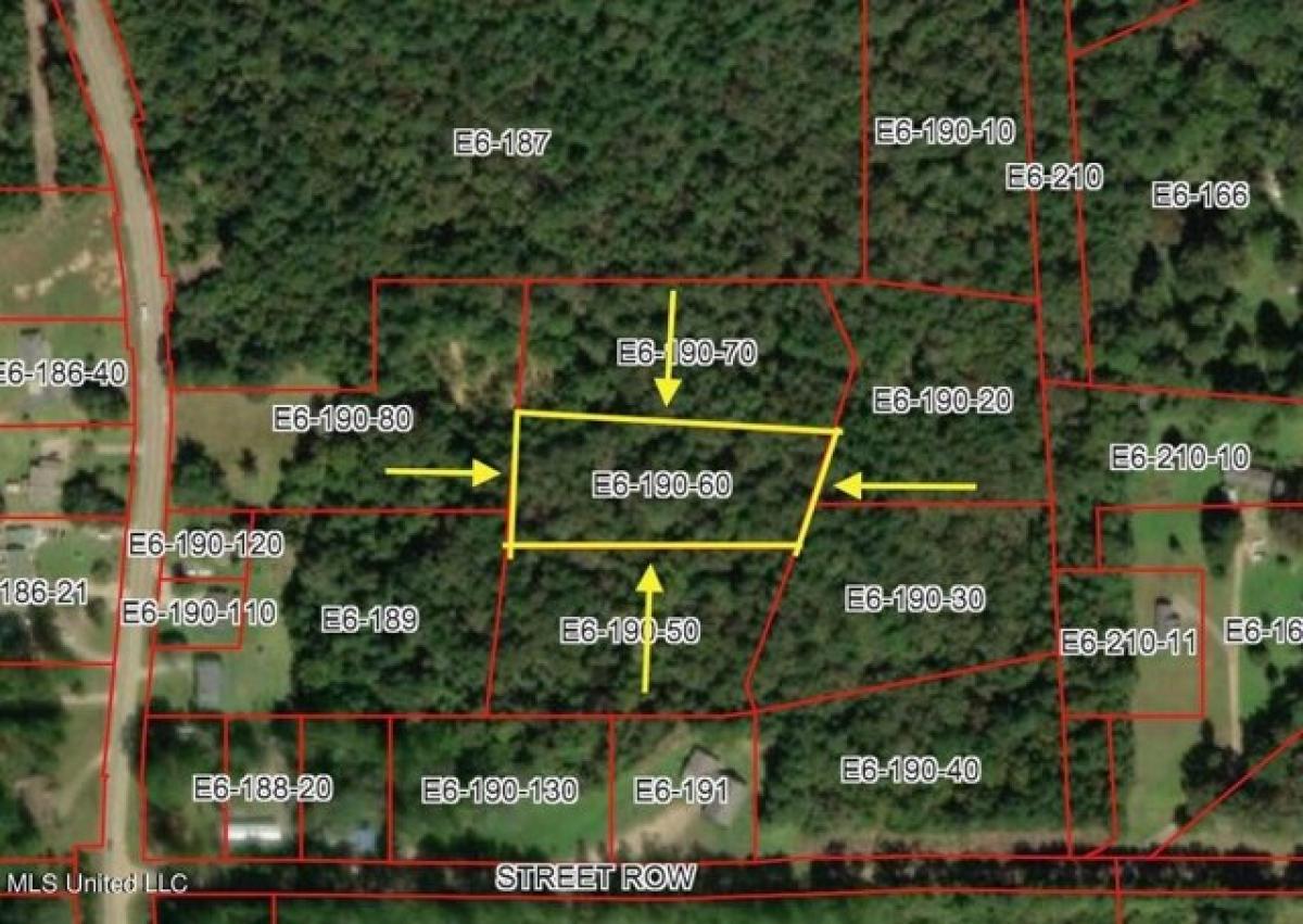 Picture of Residential Land For Sale in Richland, Mississippi, United States