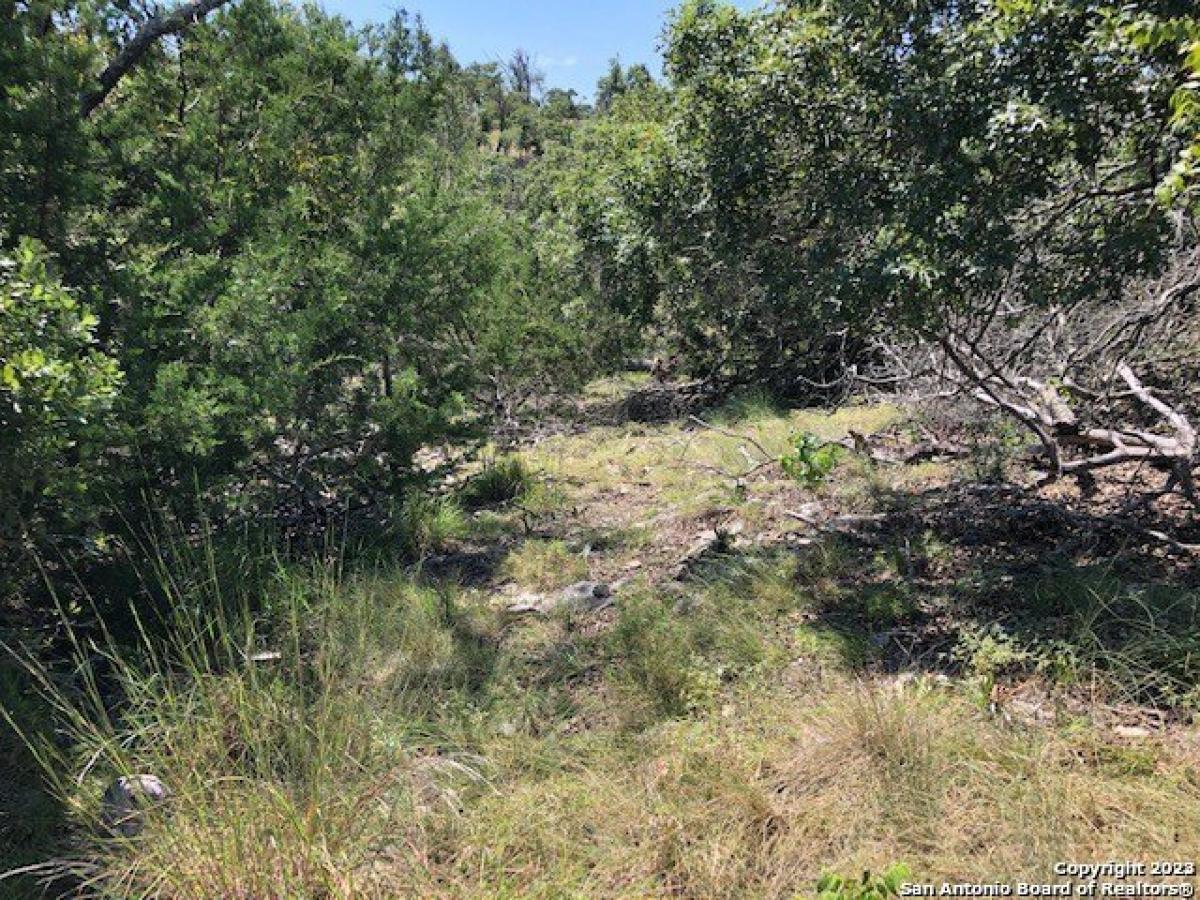 Picture of Residential Land For Sale in Fredericksburg, Texas, United States