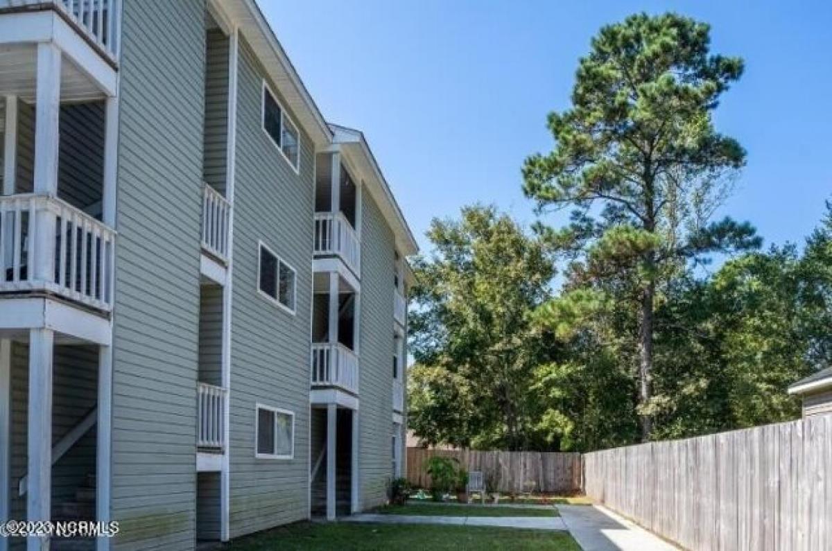 Picture of Apartment For Rent in Wilmington, North Carolina, United States