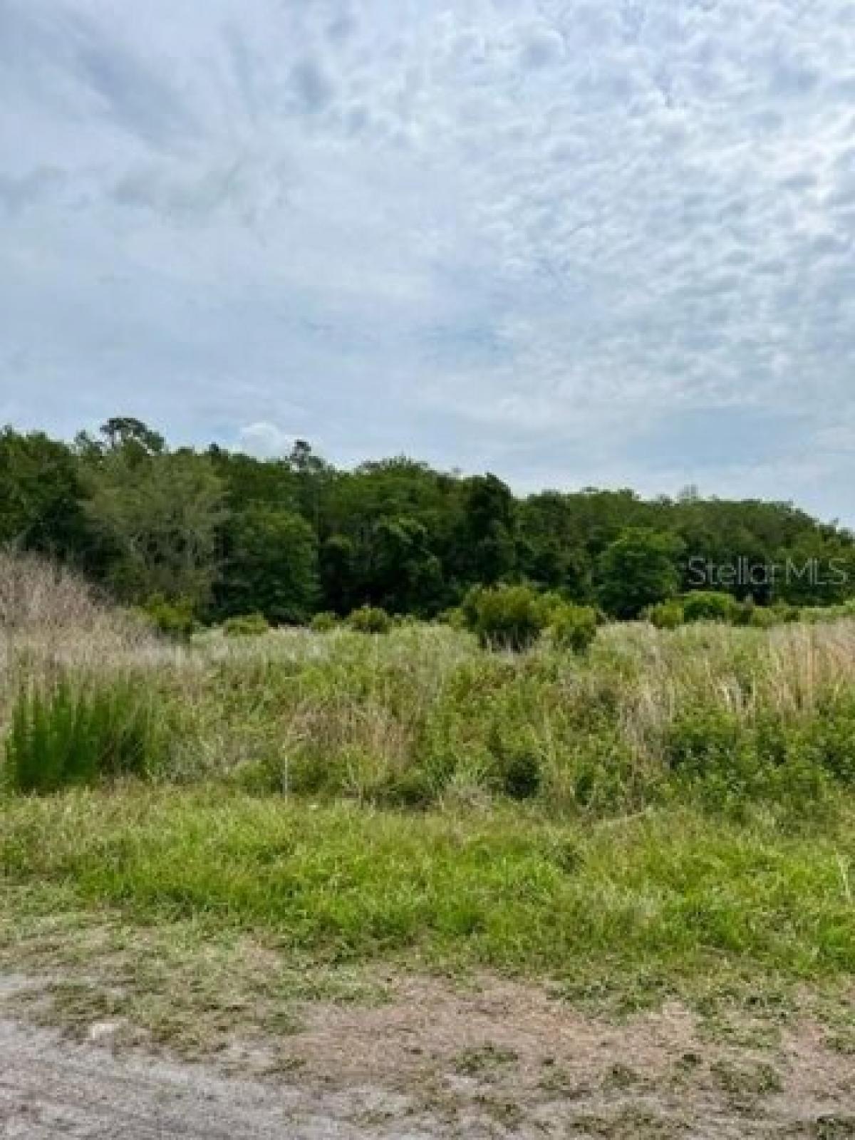 Picture of Residential Land For Sale in Hawthorne, Florida, United States