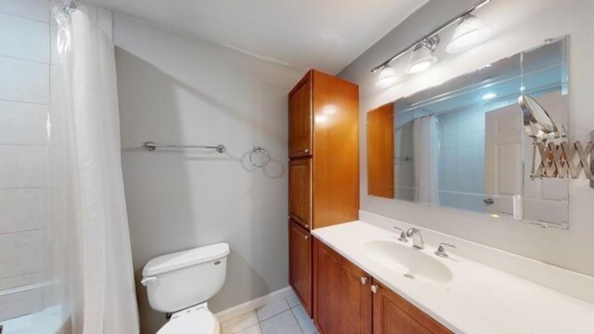 Picture of Home For Rent in Dorchester, Massachusetts, United States