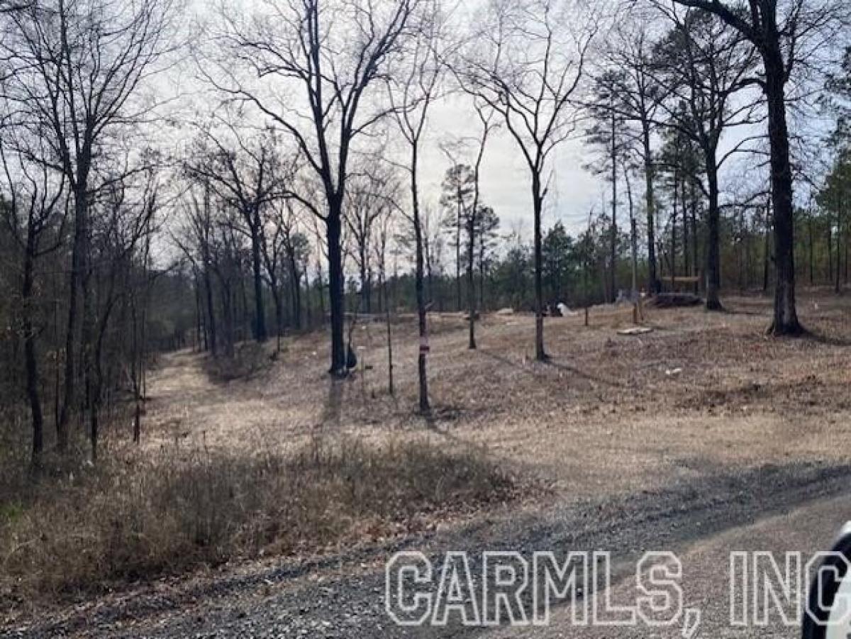 Picture of Residential Land For Sale in Bismarck, Arkansas, United States