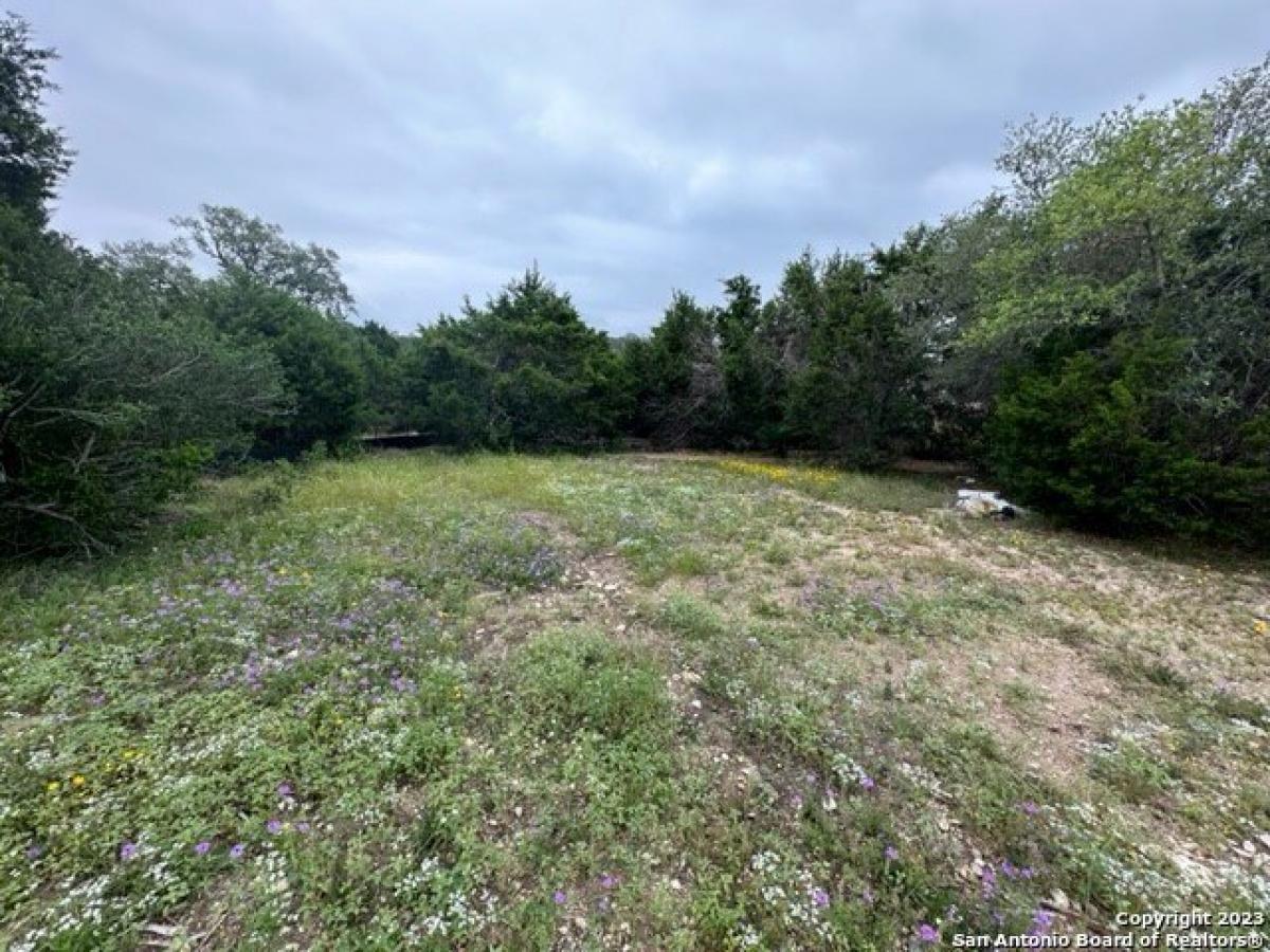 Picture of Residential Land For Sale in New Braunfels, Texas, United States