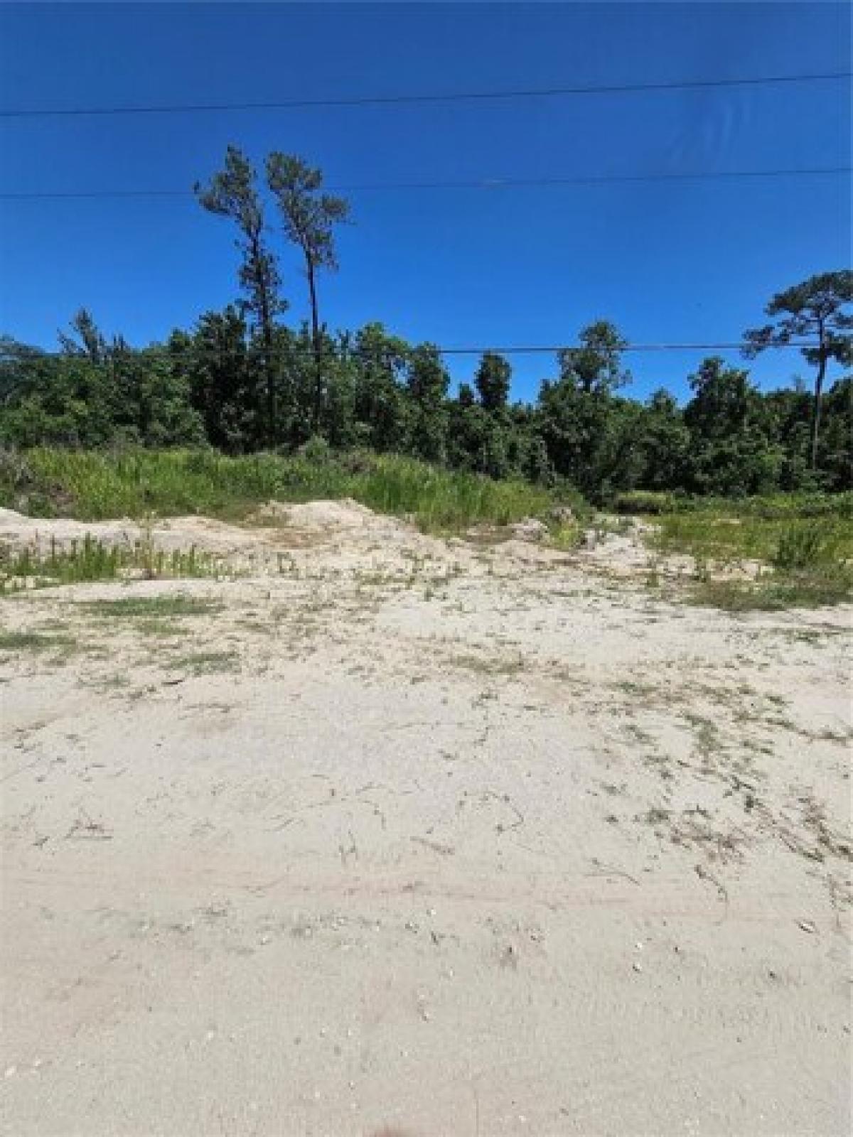 Picture of Residential Land For Sale in Oviedo, Florida, United States