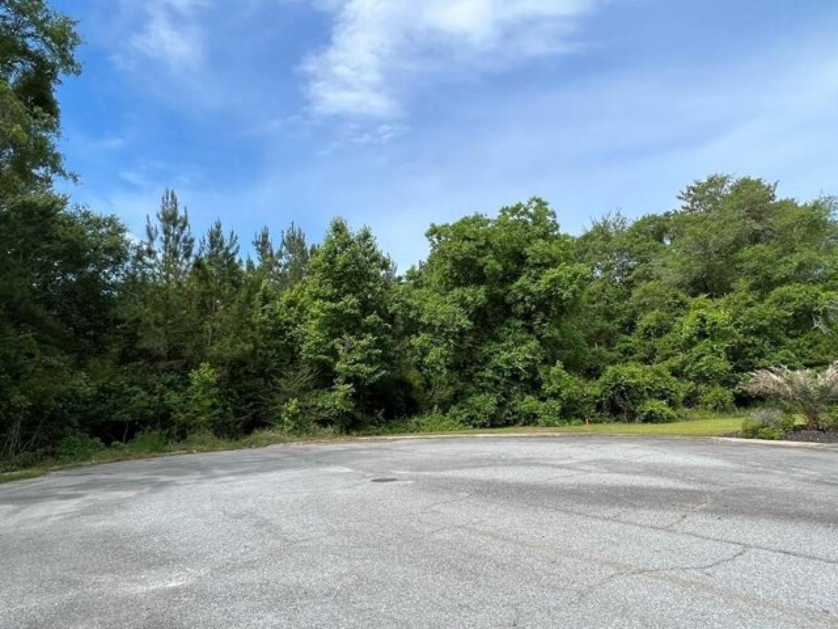 Picture of Residential Land For Sale in Jesup, Georgia, United States