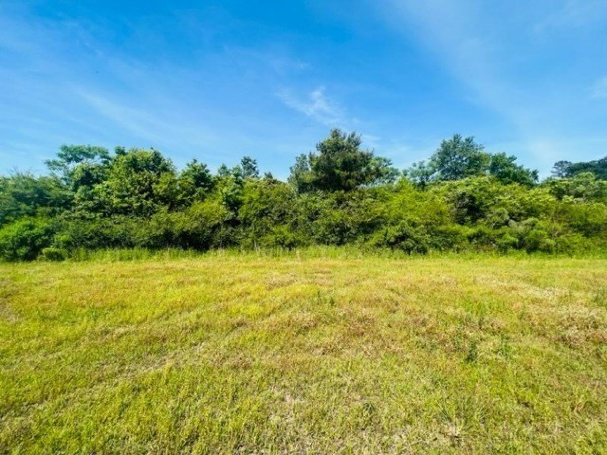 Picture of Residential Land For Sale in Tylertown, Mississippi, United States