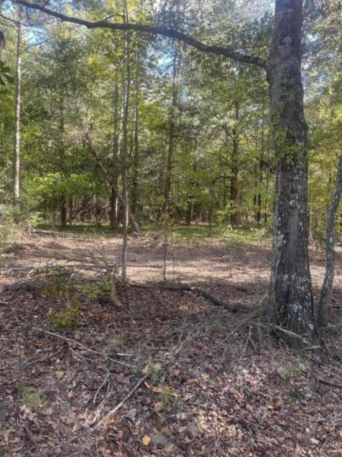 Picture of Residential Land For Sale in Inman, South Carolina, United States
