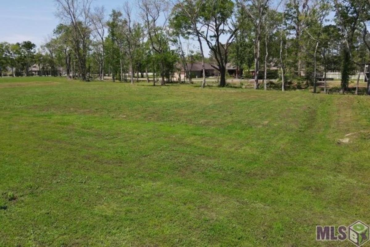 Picture of Residential Land For Sale in Geismar, Louisiana, United States