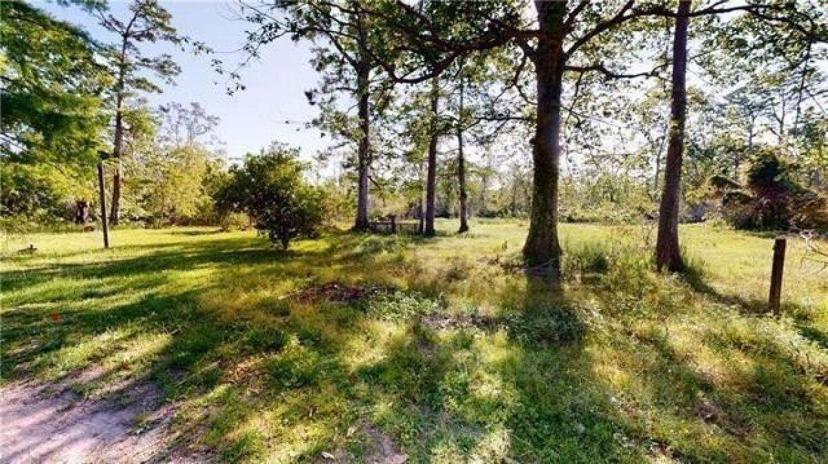 Picture of Residential Land For Sale in Ponchatoula, Louisiana, United States