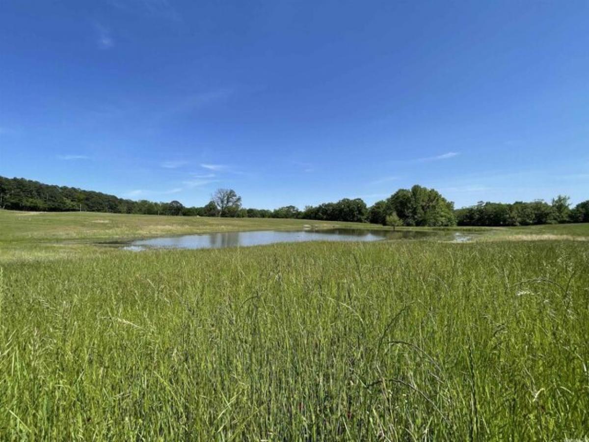 Picture of Residential Land For Sale in Bismarck, Arkansas, United States