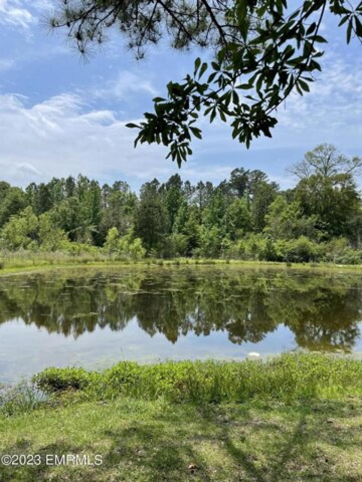 Picture of Residential Land For Sale in Lawrence, Mississippi, United States