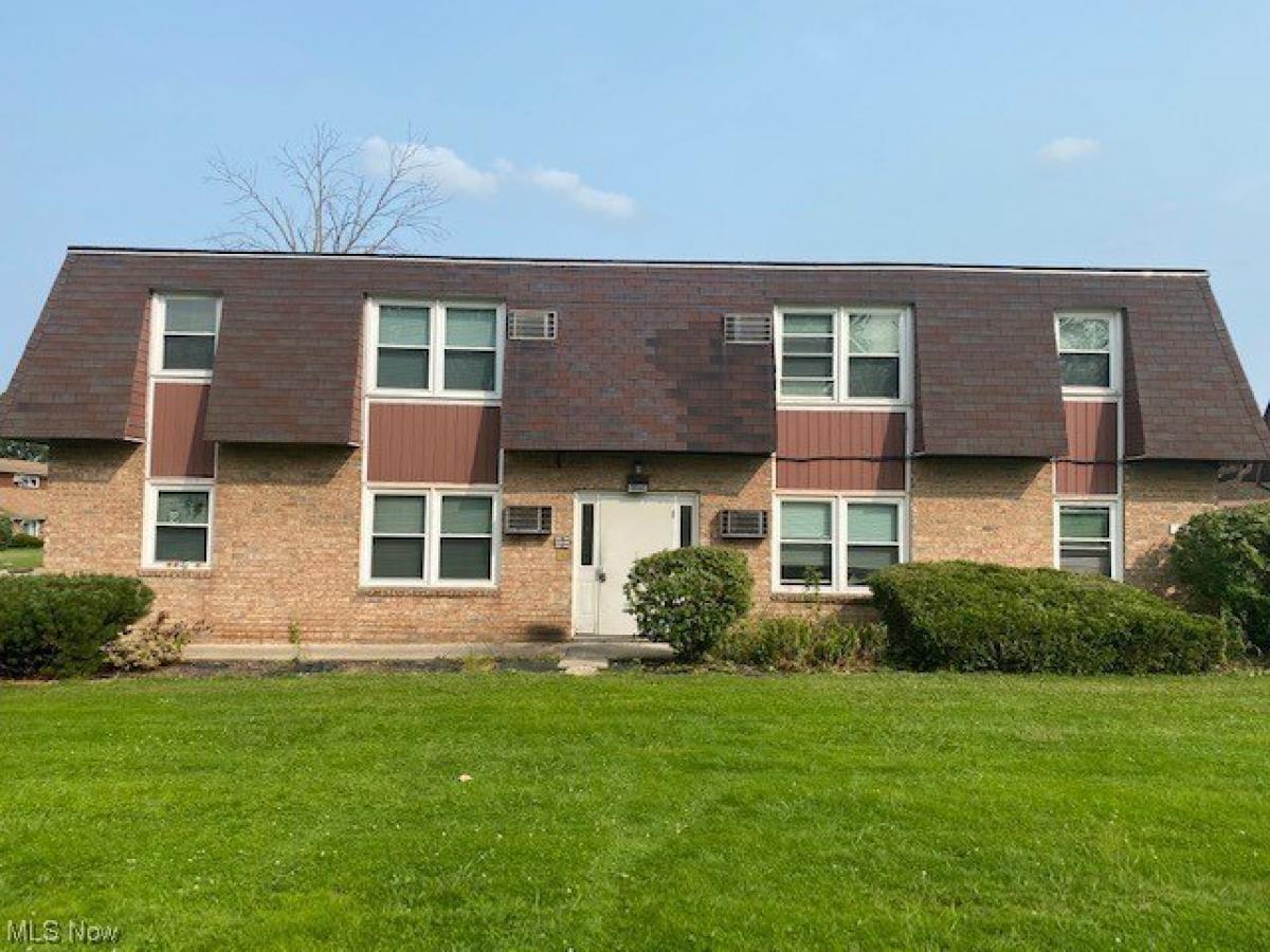 Picture of Apartment For Rent in Youngstown, Ohio, United States