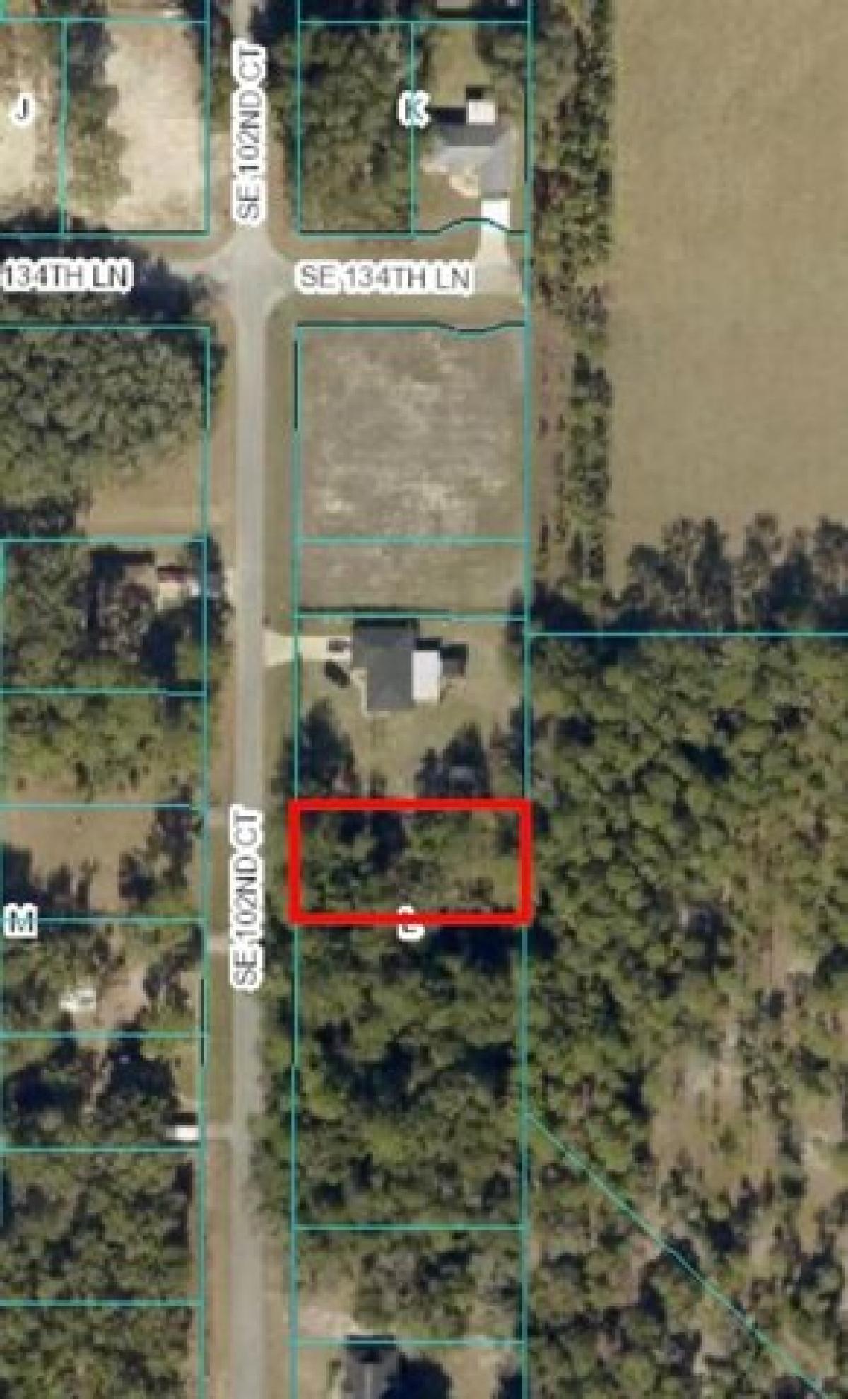 Picture of Residential Land For Sale in Belleview, Florida, United States