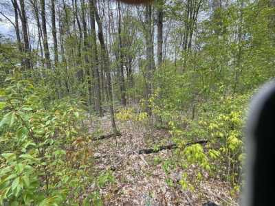 Residential Land For Sale in 