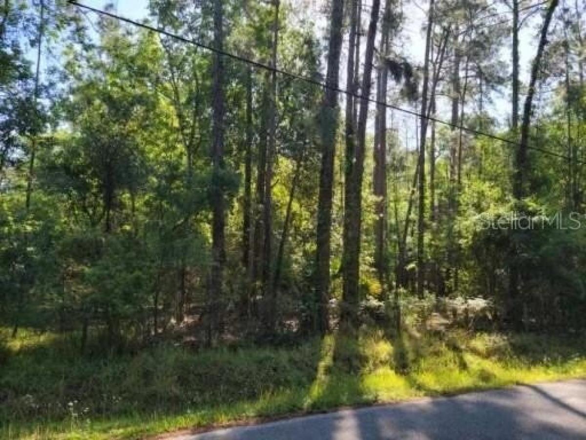 Picture of Residential Land For Sale in Wesley Chapel, Florida, United States