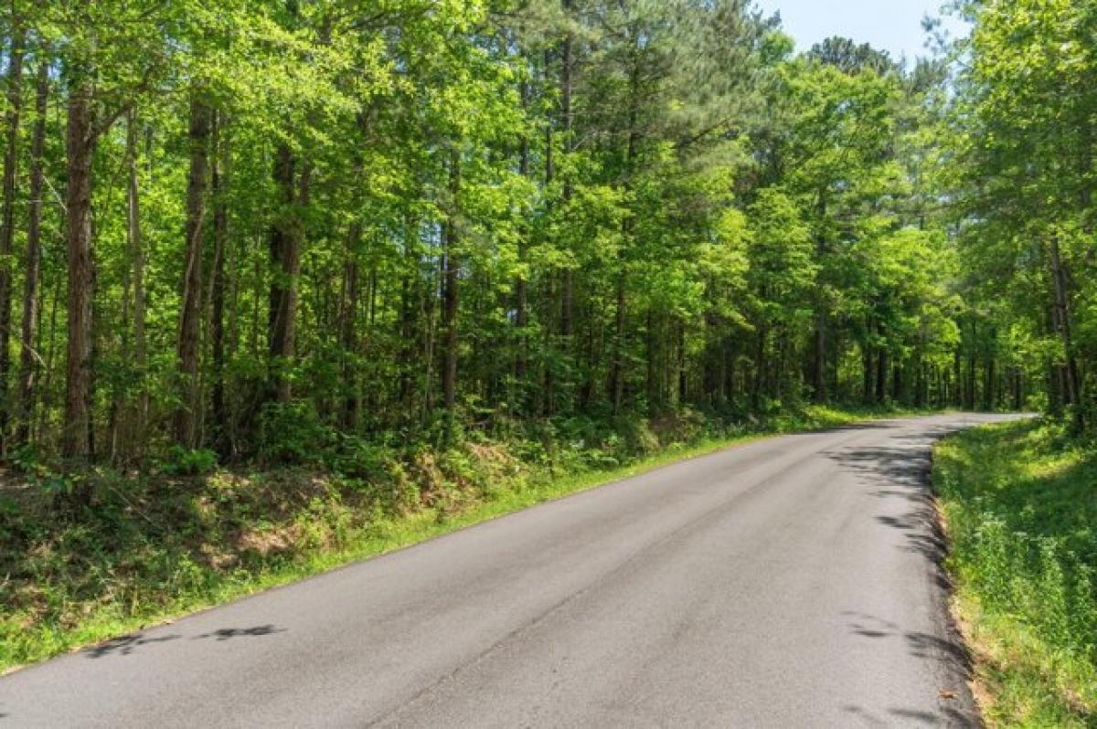 Picture of Residential Land For Sale in Ellisville, Mississippi, United States