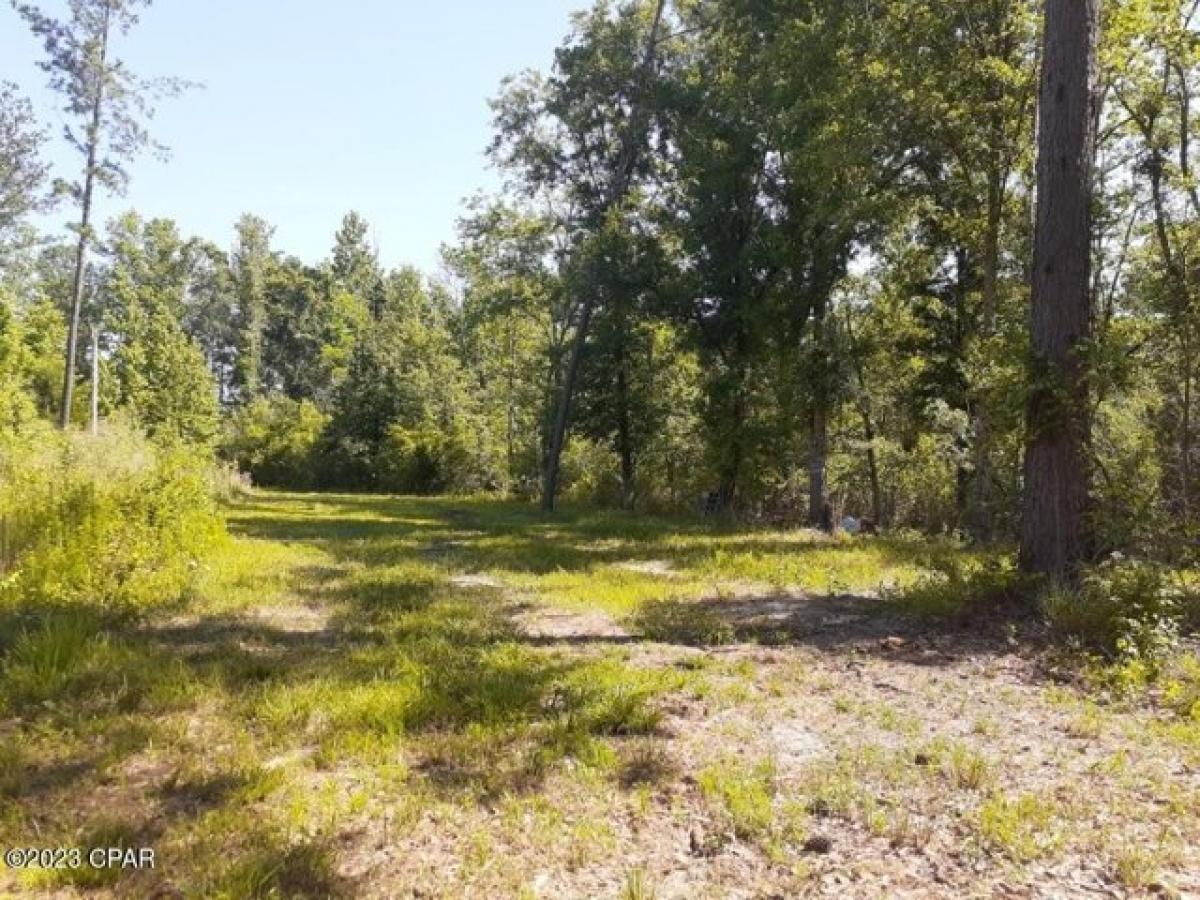 Picture of Residential Land For Sale in Cottondale, Florida, United States