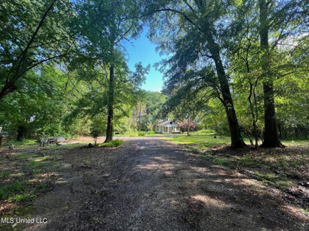 Picture of Residential Land For Sale in Pearl, Mississippi, United States