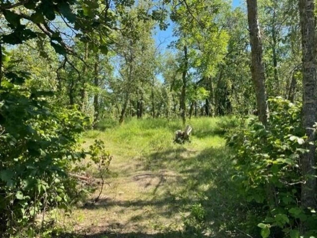 Picture of Home For Sale in Bottineau, North Dakota, United States