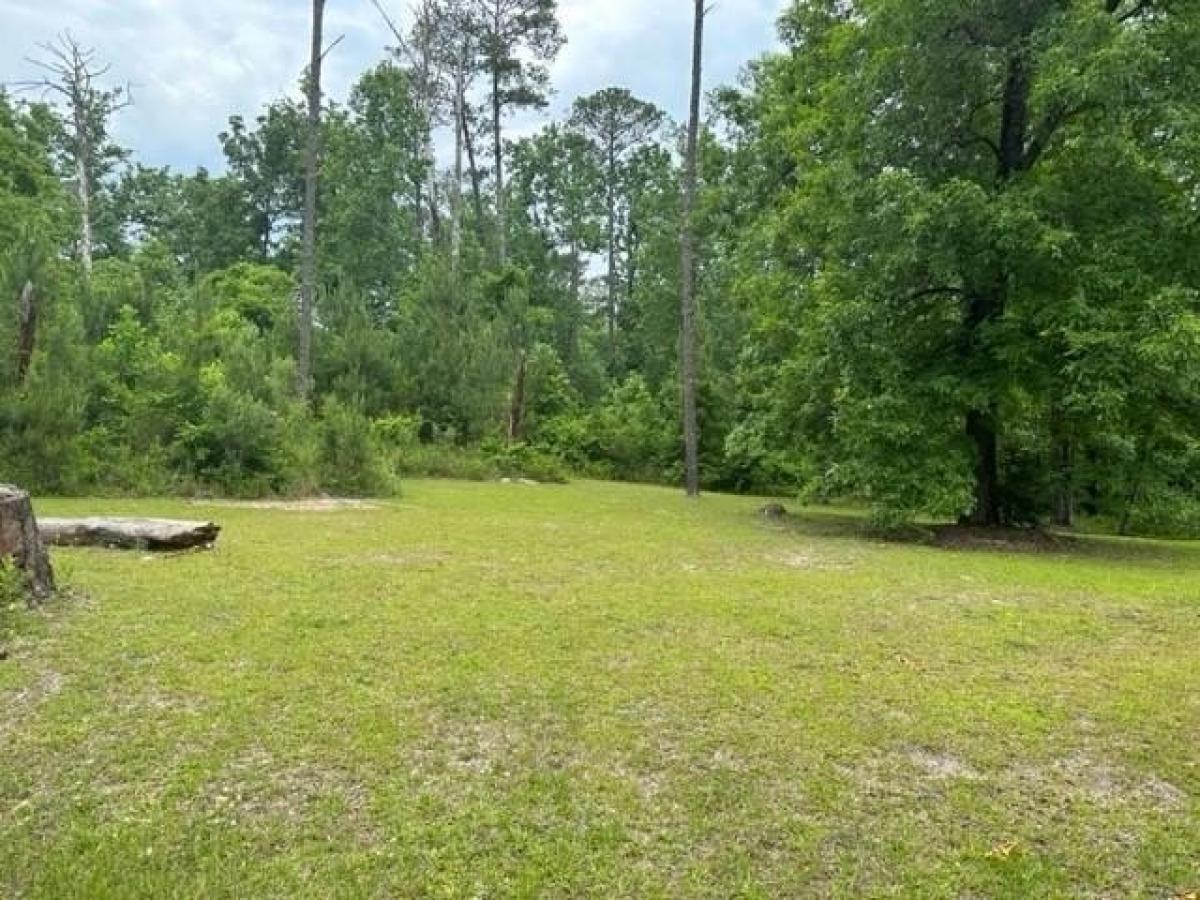 Picture of Residential Land For Sale in Eufaula, Alabama, United States