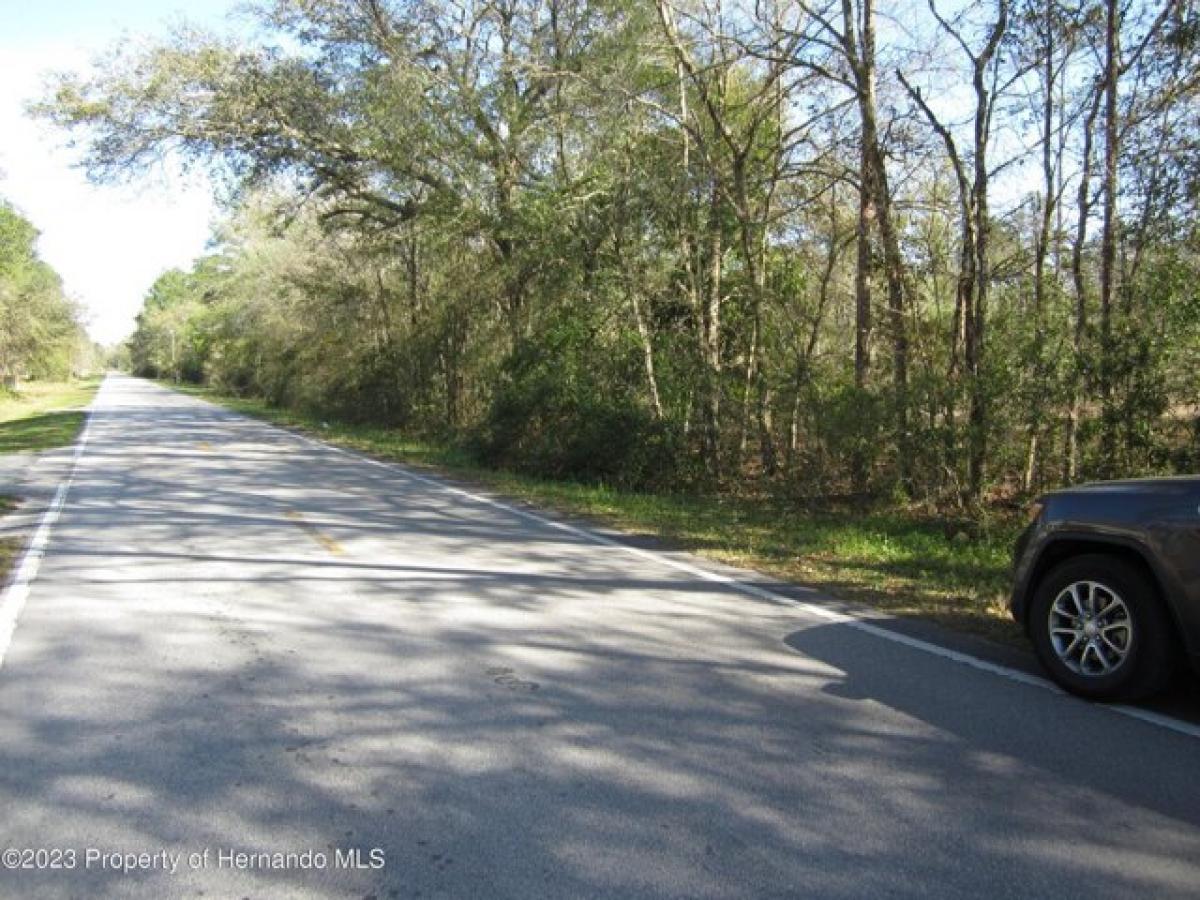 Picture of Residential Land For Sale in Wesley Chapel, Florida, United States