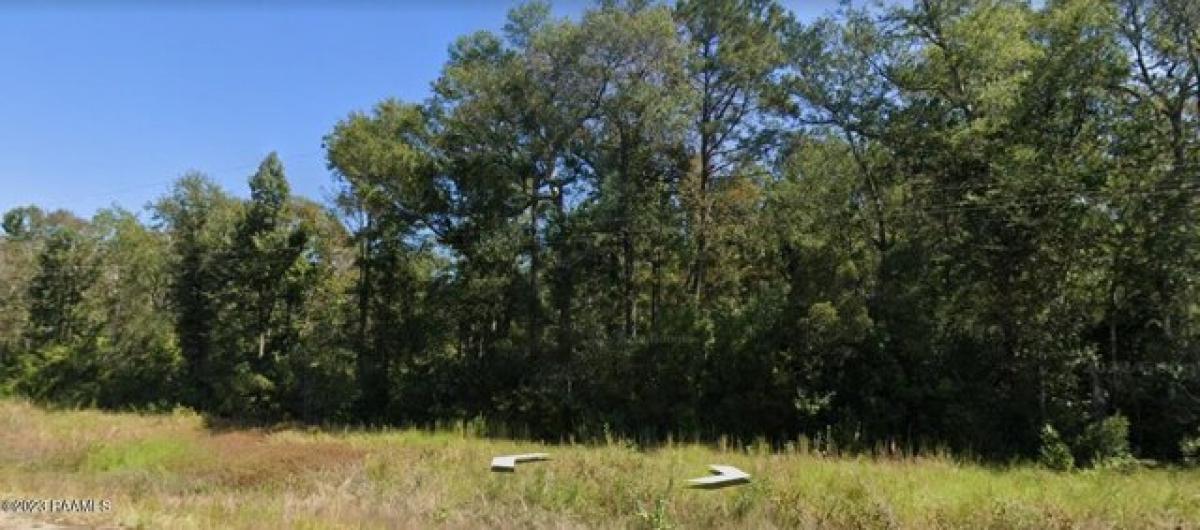 Picture of Residential Land For Sale in Merryville, Louisiana, United States