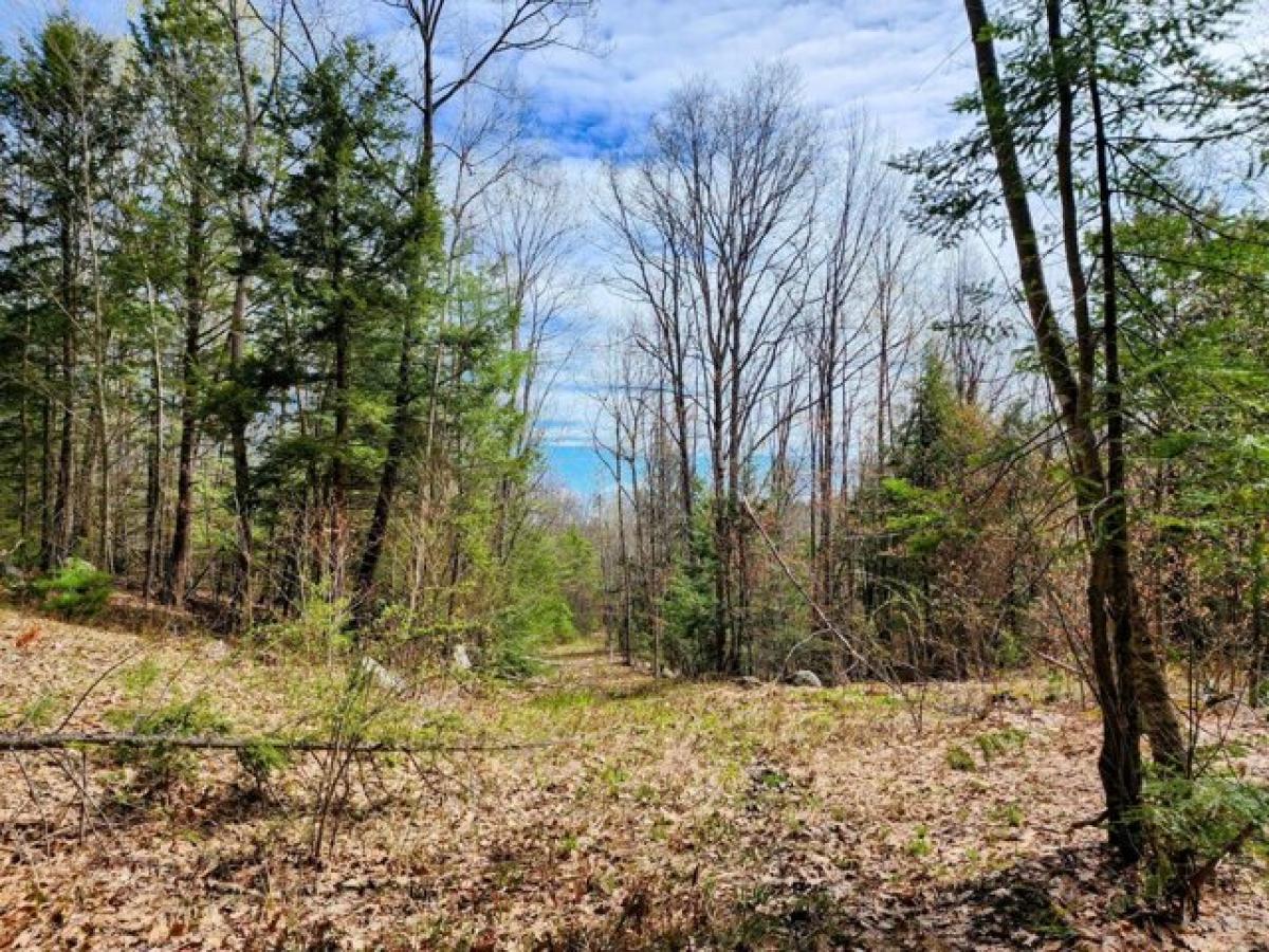 Picture of Residential Land For Sale in Livermore, Maine, United States