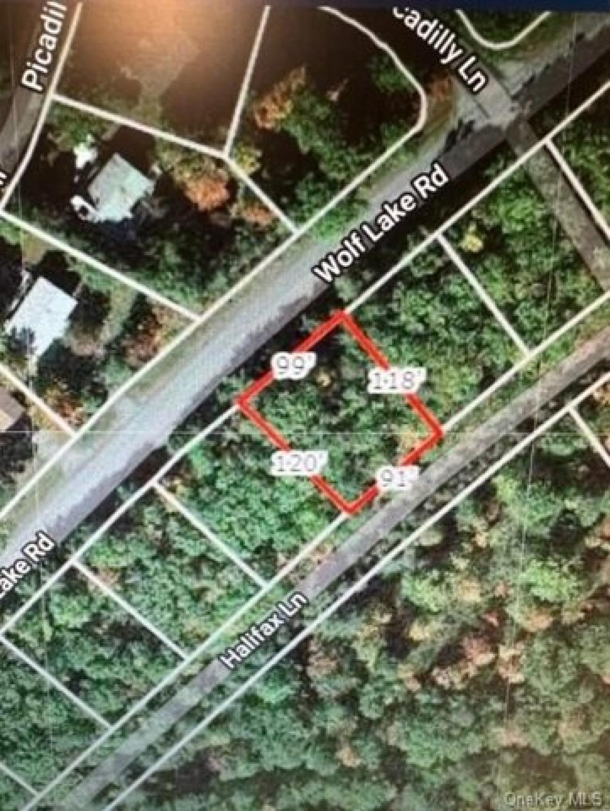 Picture of Residential Land For Sale in Rock Hill, New York, United States