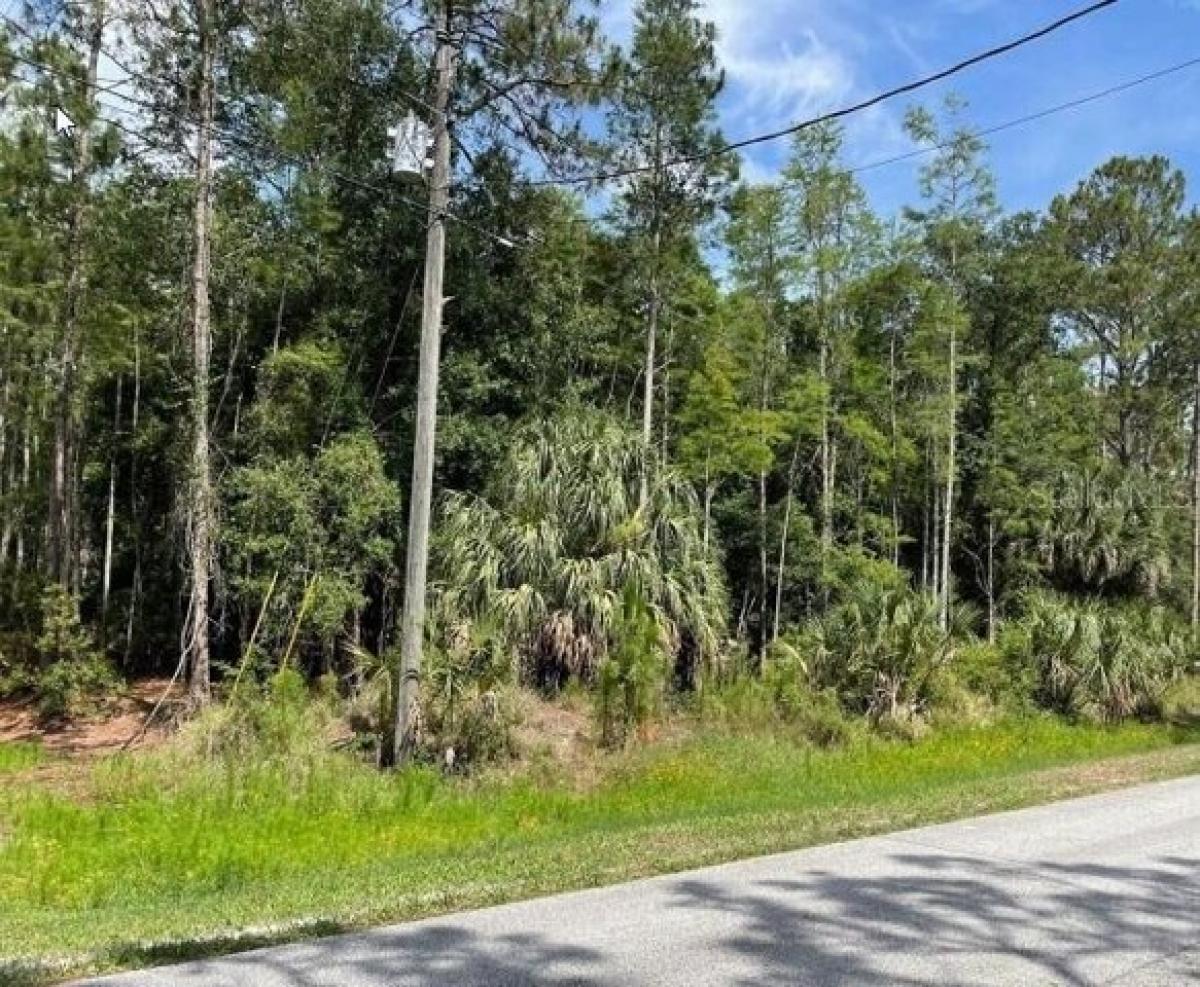 Picture of Residential Land For Sale in Wesley Chapel, Florida, United States