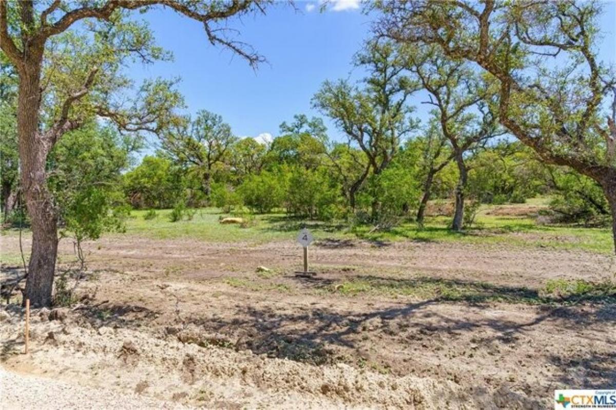 Picture of Residential Land For Sale in Johnson City, Texas, United States