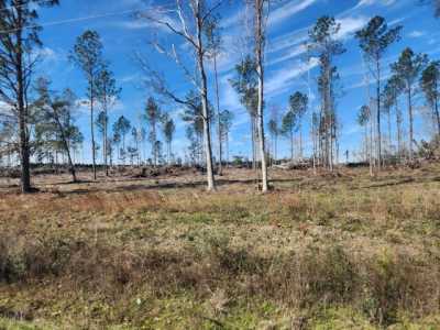 Residential Land For Sale in Deridder, Louisiana