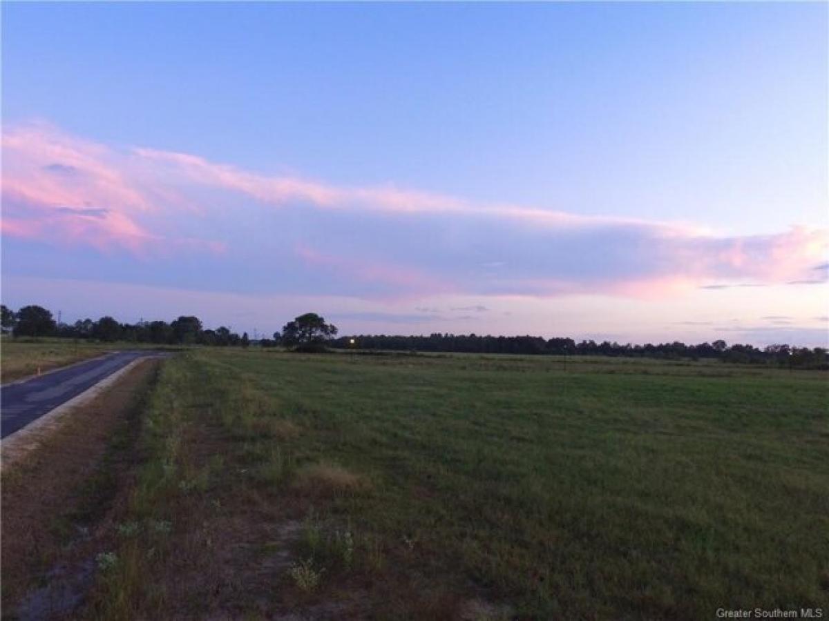 Picture of Residential Land For Sale in Iowa, Louisiana, United States