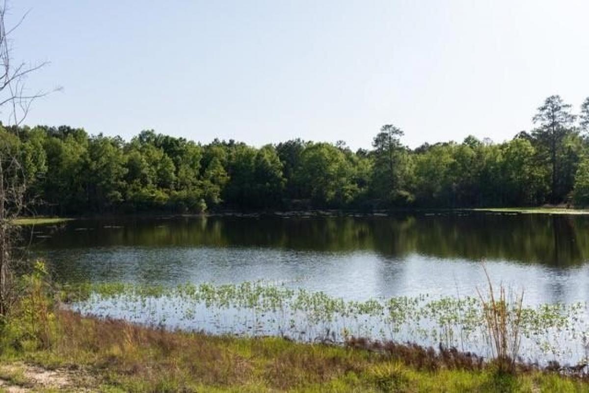 Picture of Residential Land For Sale in Amite, Louisiana, United States