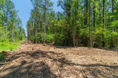 Residential Land For Sale in Ellisville, Mississippi