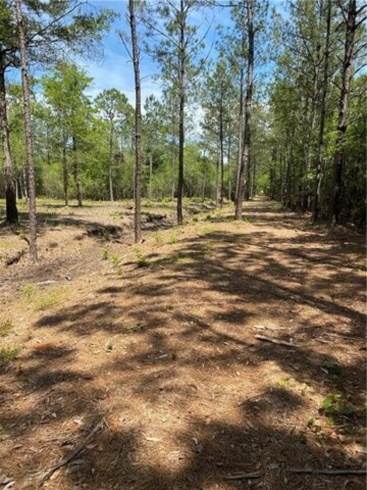 Picture of Residential Land For Sale in Satsuma, Alabama, United States