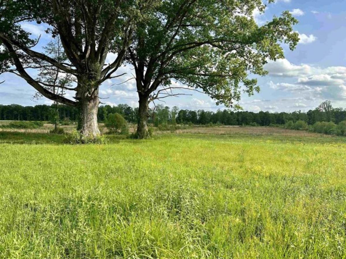 Picture of Residential Land For Sale in Anderson, Alabama, United States