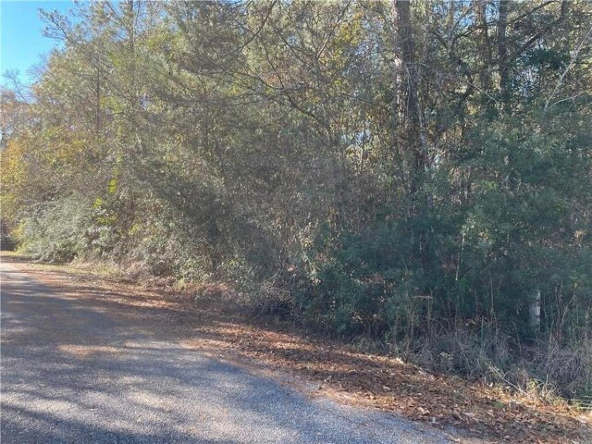 Picture of Residential Land For Sale in Abita Springs, Louisiana, United States