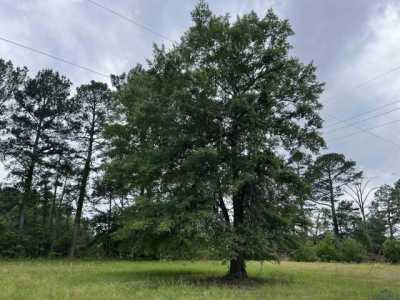 Residential Land For Sale in Marshall, Texas