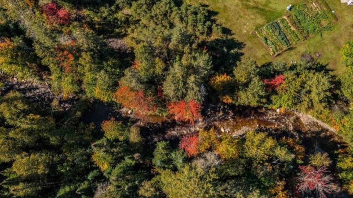 Picture of Residential Land For Sale in Berlin, New Hampshire, United States