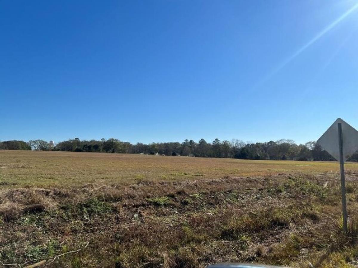 Picture of Residential Land For Sale in Slocomb, Alabama, United States