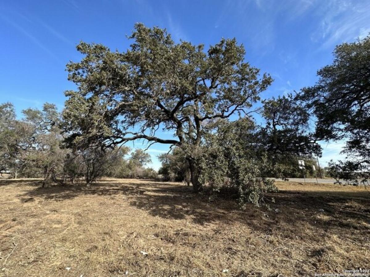 Picture of Residential Land For Sale in Poteet, Texas, United States