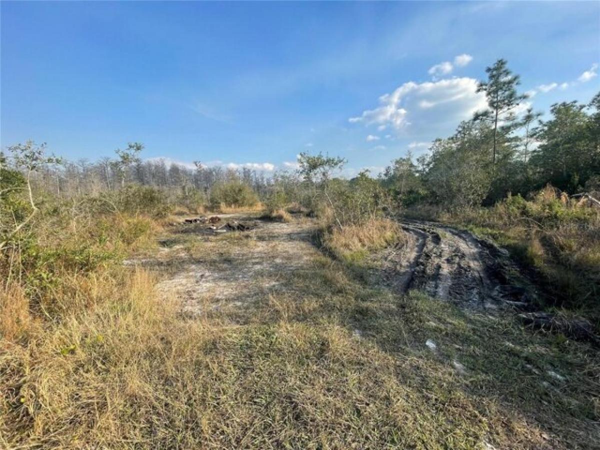 Picture of Residential Land For Sale in Saint Cloud, Florida, United States